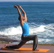 Dru Yoga Warrior Krishna